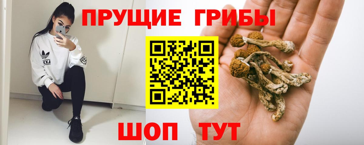 Галлюциногенные грибы мицелий  Галлюциногенные грибы мухоморы  Красноярск  продажа наркотиков  Вход с VPN 